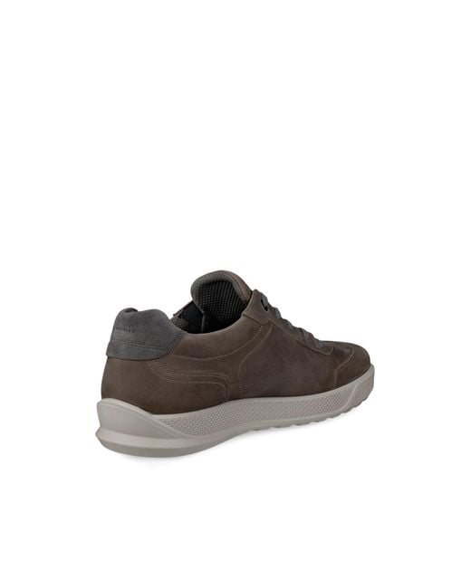Ecco Brown Byway for men