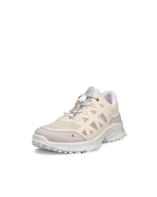 Ecco White Receptor Xp