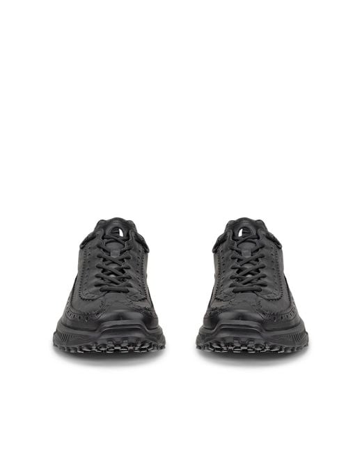 Ecco Black Cg Receptor Xp for men
