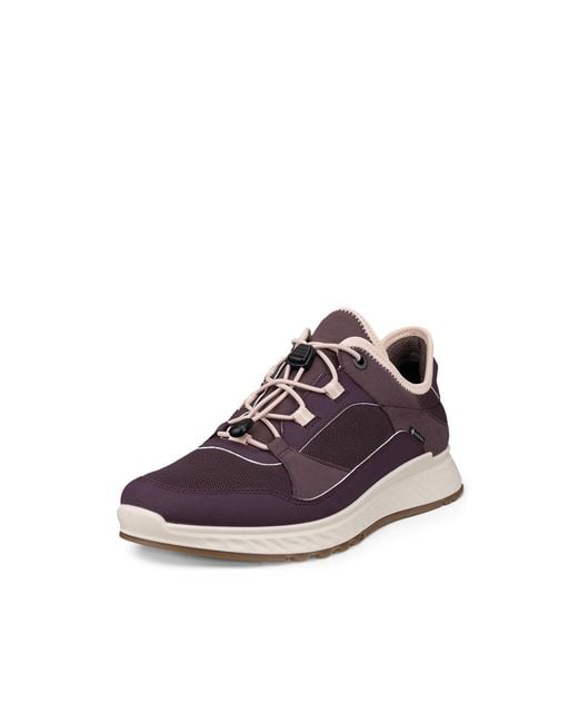 Ecco Brown Exostride