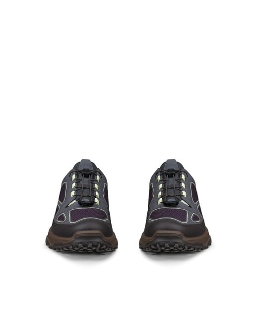 Ecco Gray Receptor Xp