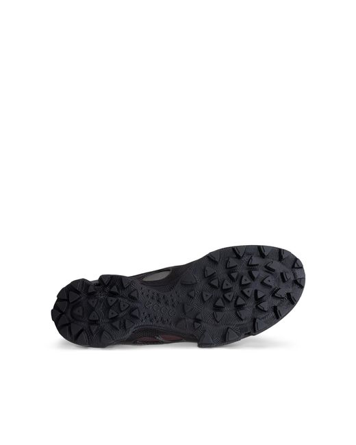 Ecco Blue Biom C-Trail