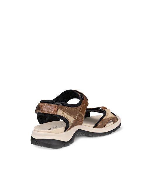 Ecco White Offroad