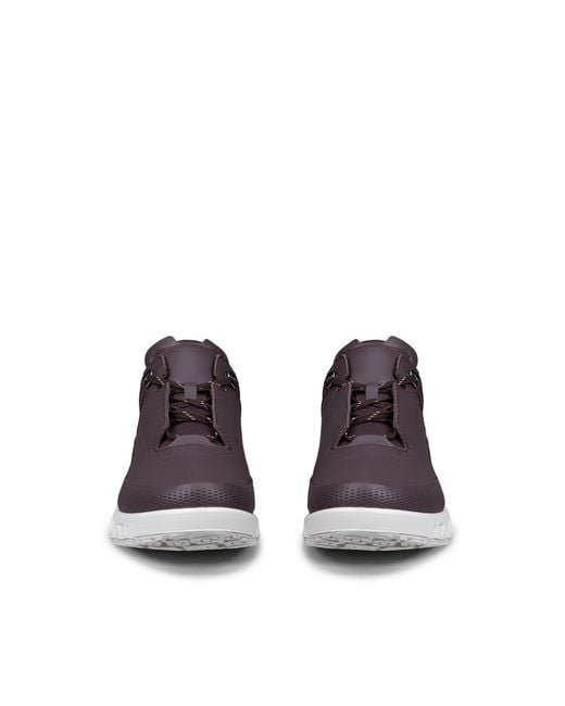 Ecco Purple Multi-Vent