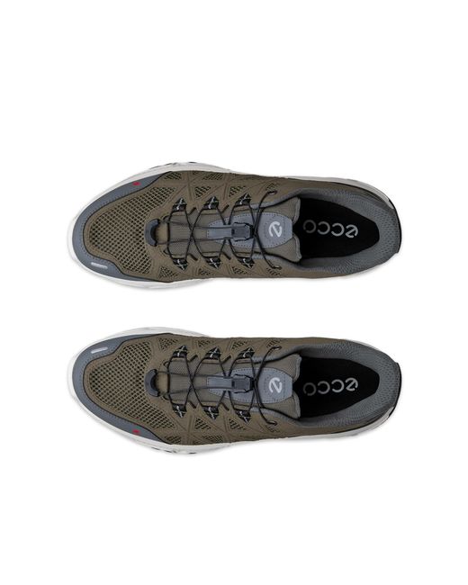 Ecco Gray Receptor Xp for men