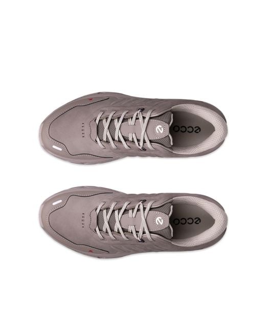 Ecco Brown Receptor Xp