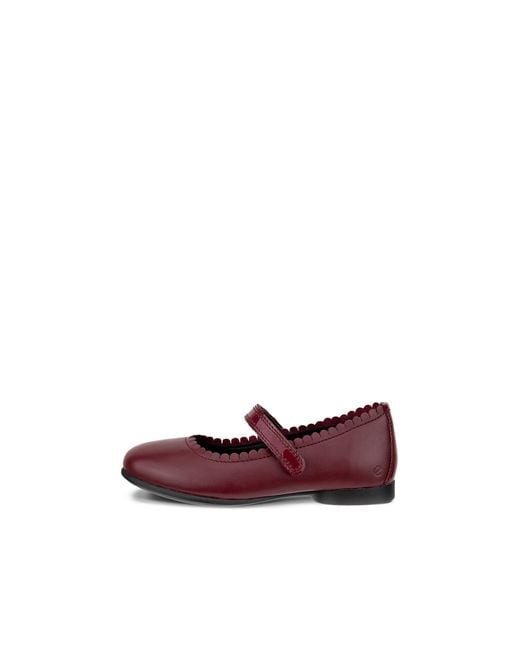 Ecco Purple Anine