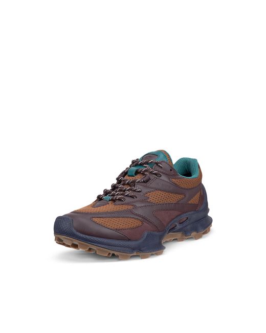 Ecco Brown Biom C-Trail