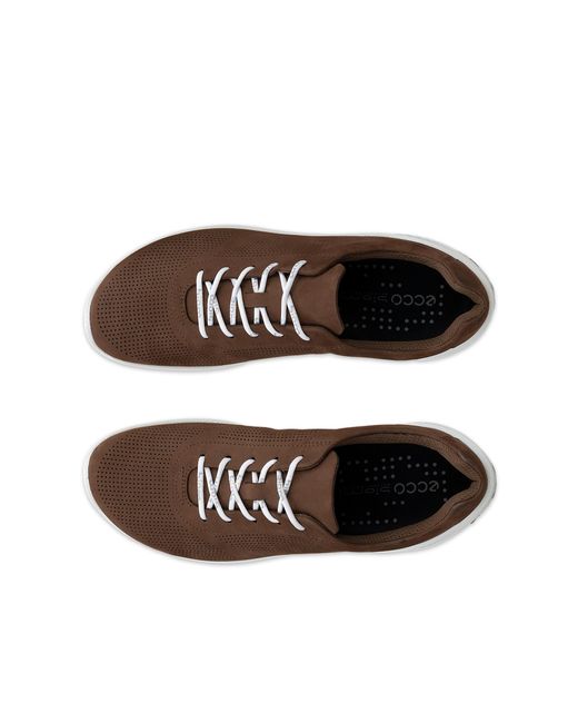 Ecco Brown Biom Lite for men
