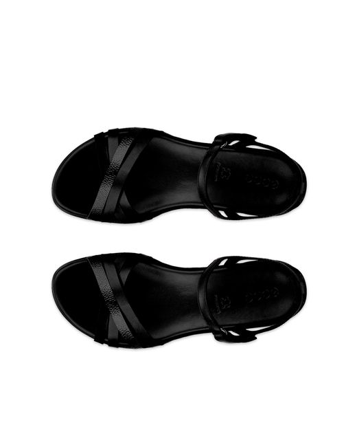 Ecco Black Flash