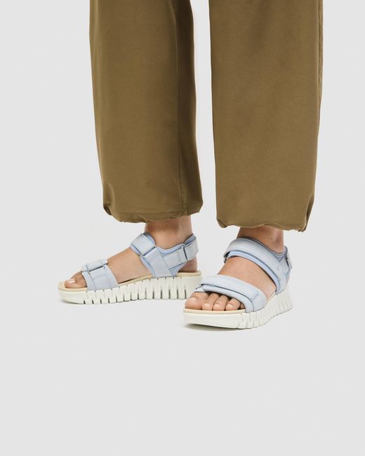 Ecco Blue Gruuv Sol