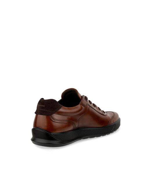 Ecco Brown Byway for men