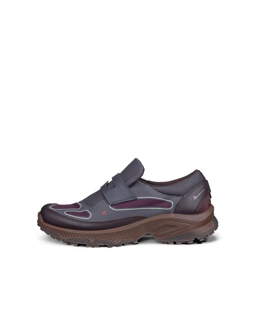 Ecco Gray Receptor Xp