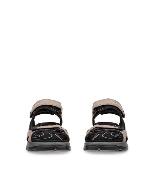 Ecco Black Offroad