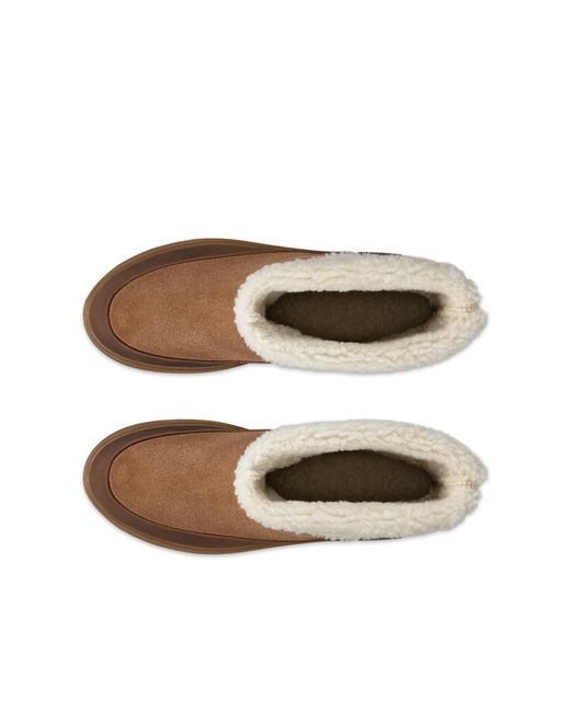 Ecco Brown Glacia