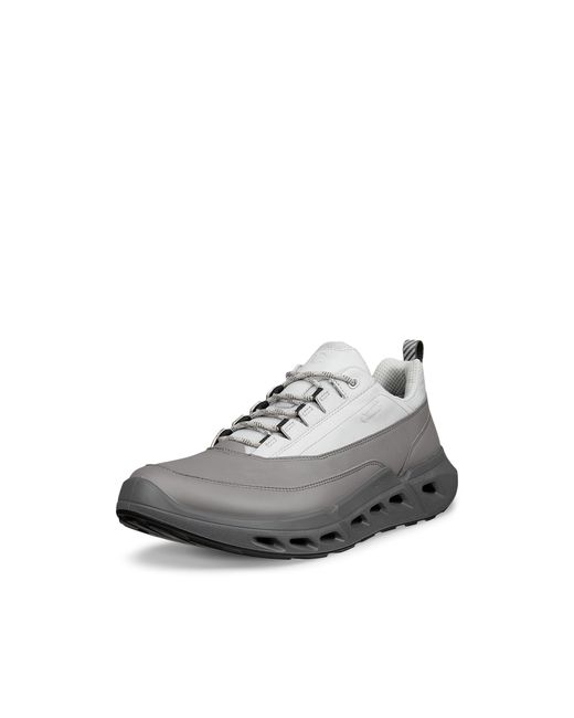 Ecco Gray Biom 720 for men