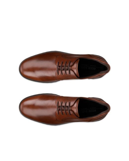 Ecco Brown S Lite Hybrid for men