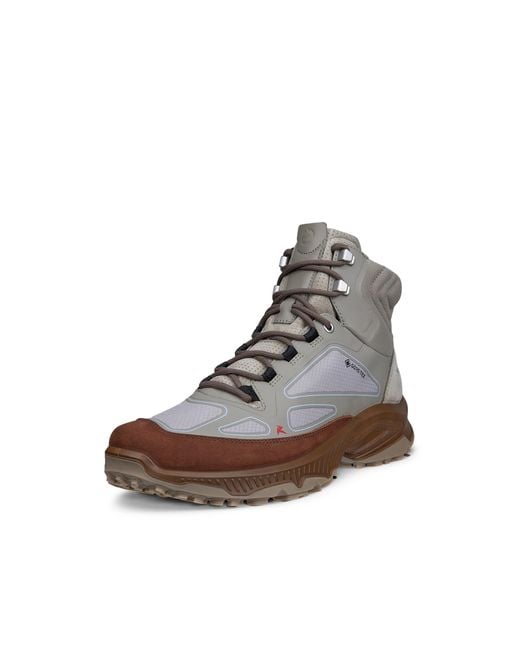 Ecco Receptor Xp in Brown für Herren