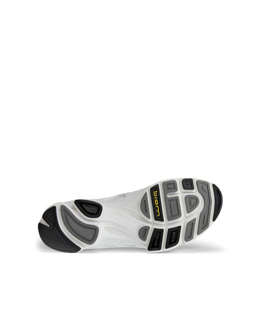 Ecco Gray Biom C