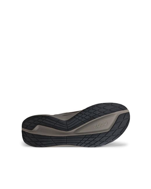 Ecco Brown Biom 2.2 for men