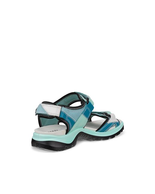 Ecco Green Offroad