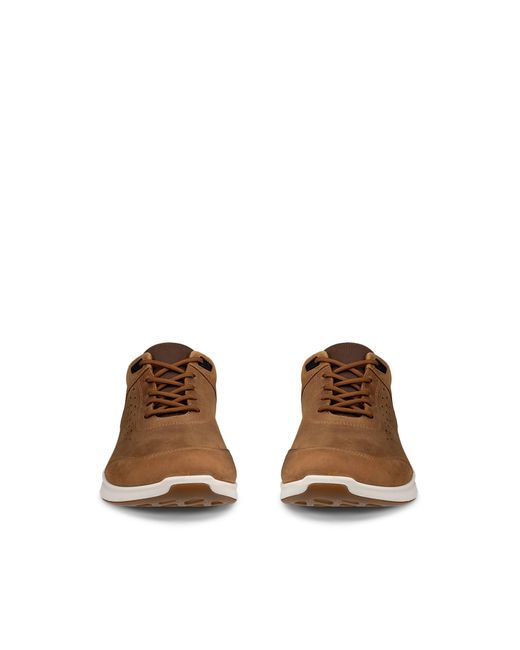 Ecco Exceed in Brown für Herren
