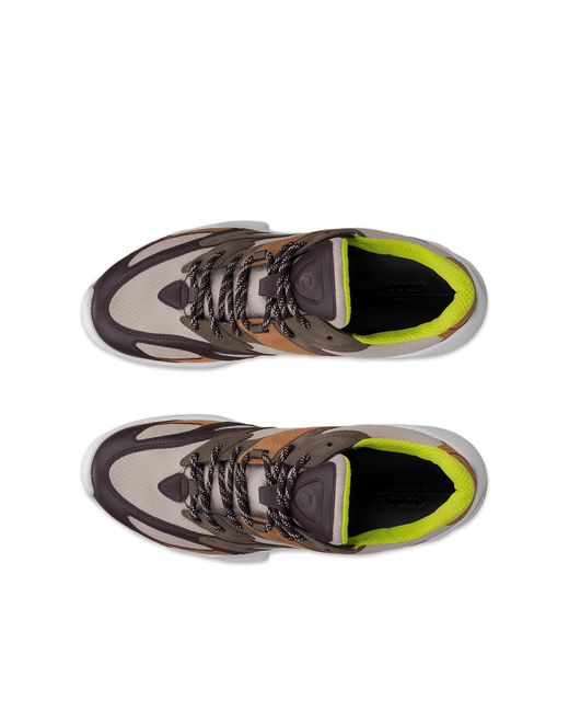 Ecco Brown Biom C-Trail for men