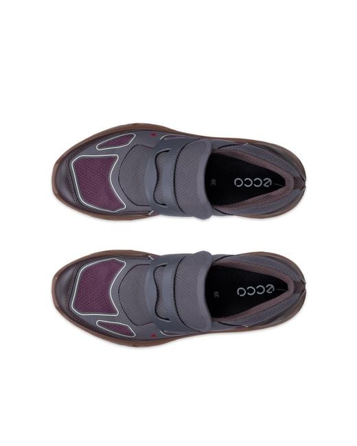Ecco Gray Receptor Xp