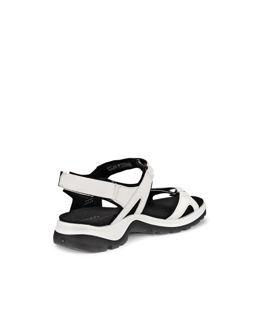 Ecco Black Offroad
