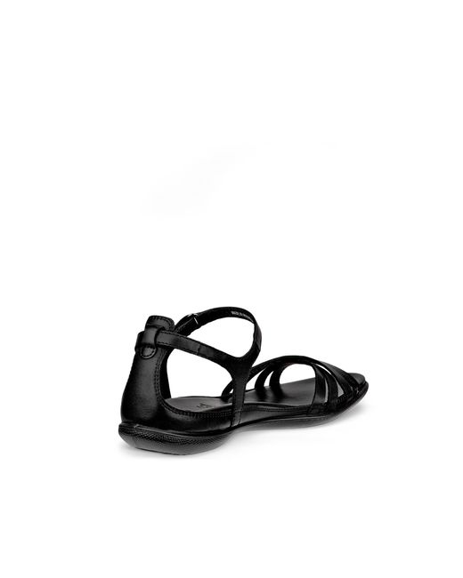 Ecco Black Flash