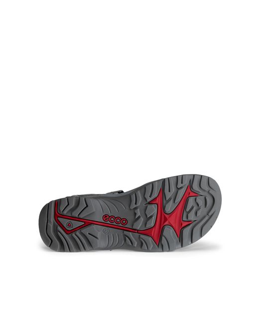 Ecco Gray Offroad for men