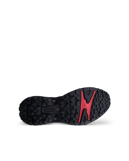 Ecco Black Receptor Xp