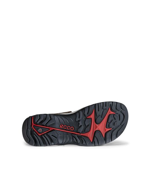 Ecco White Offroad for men