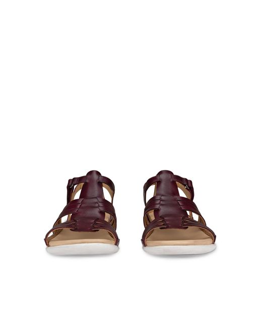 Ecco Brown Flash