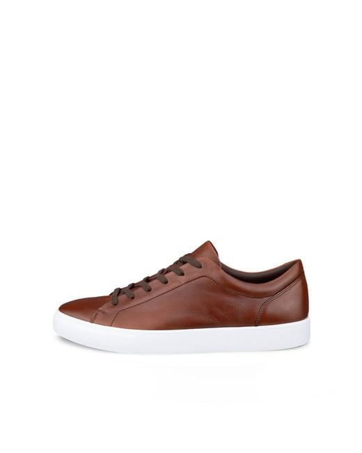 Ecco Brown Soft 10 for men