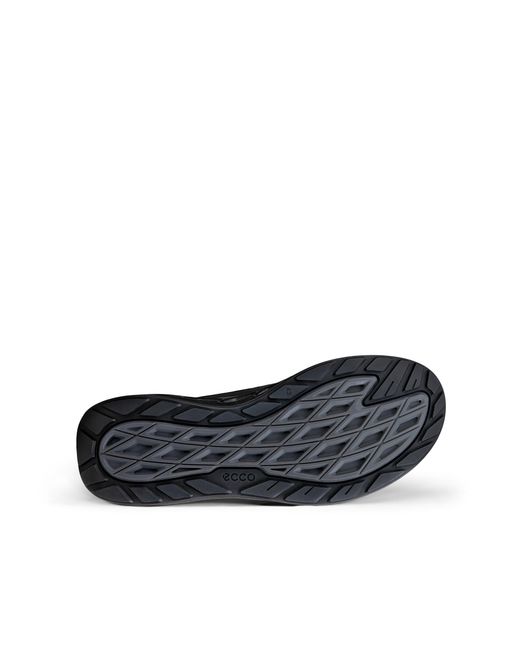 Ecco Blue Biom 720 for men
