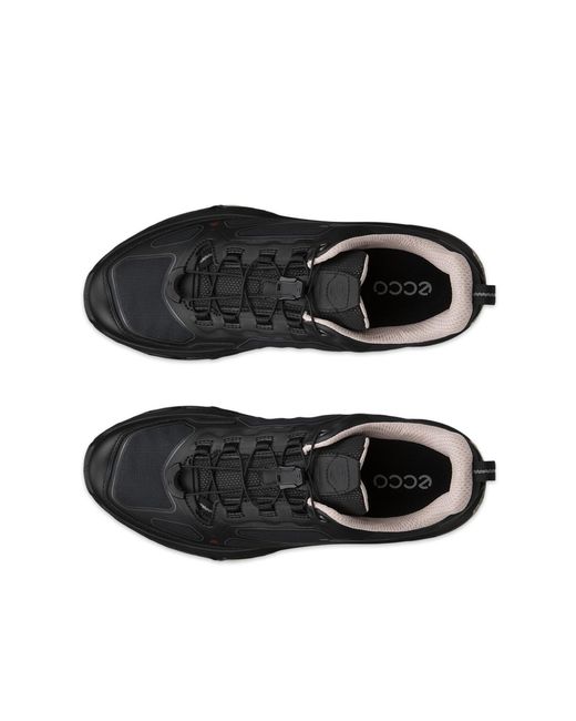 Ecco Black Receptor Xp
