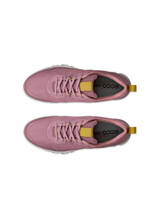 Ecco Purple Multi-Vent