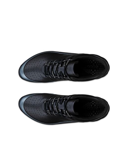 Ecco Blue Biom Energi