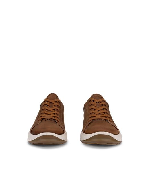 Ecco Brown Byway 2 Sneaker for men