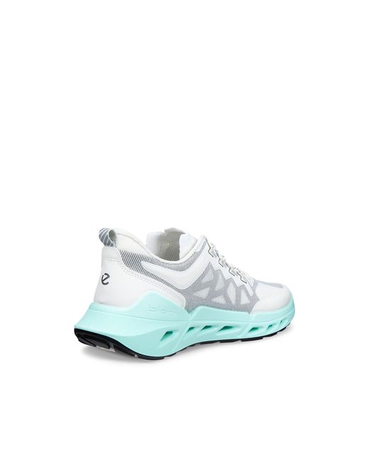 Ecco Blue Biom 720 Breathru