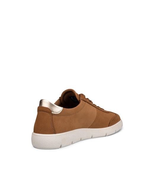 Ecco Brown Bella 2