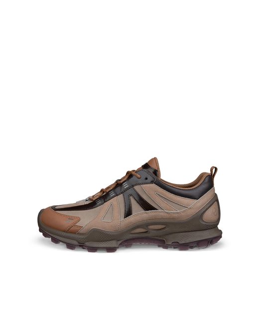 Ecco Brown Biom C-Trail for men