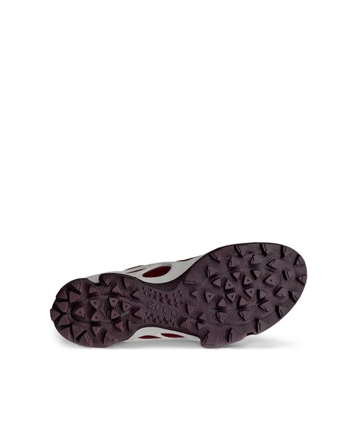 Ecco Purple Biom C-Trail