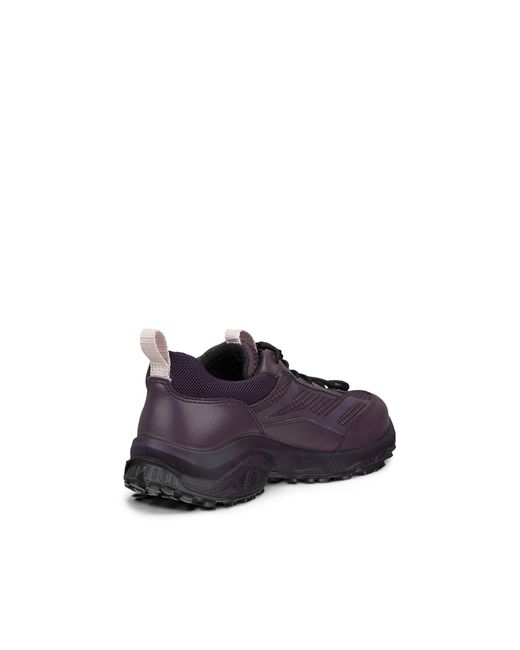 Ecco Purple Receptor Xp