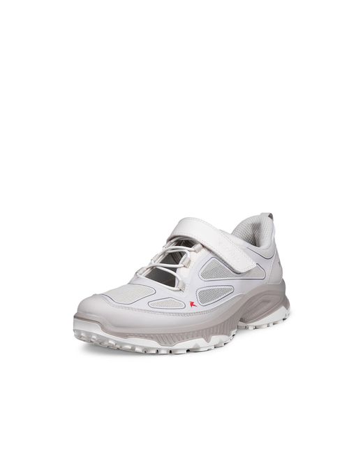 Ecco White Receptor Xp