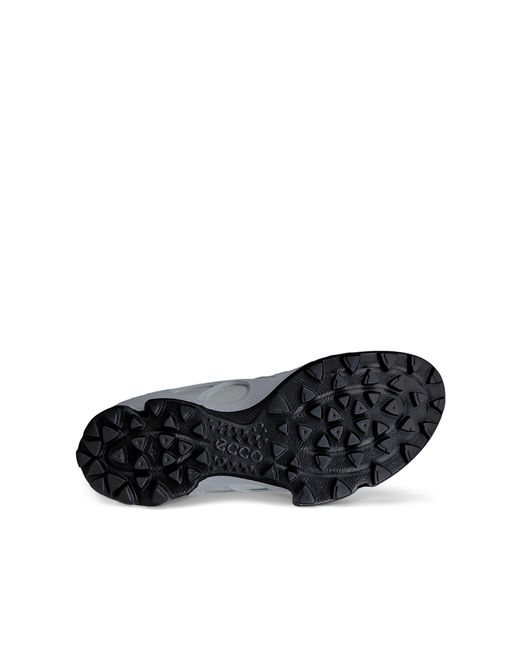 Ecco Gray Biom C-Trail for men