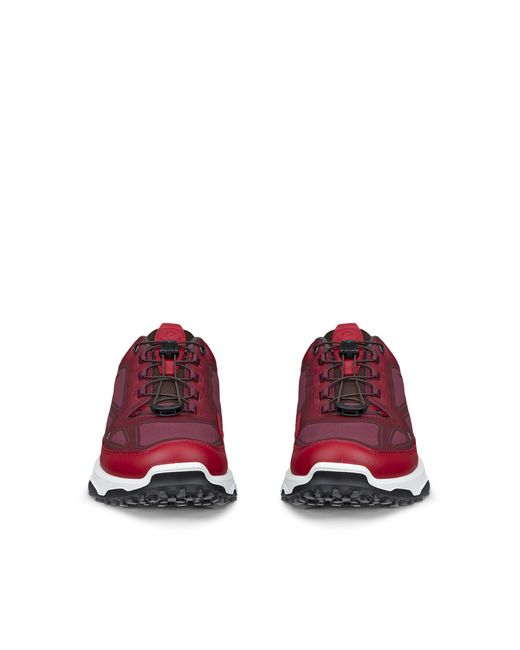 Ecco Red Receptor Xp