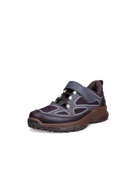 Ecco Gray Receptor Xp