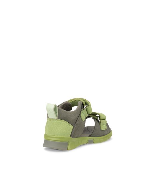 Ecco Mini Stride Sandal in Green für Herren